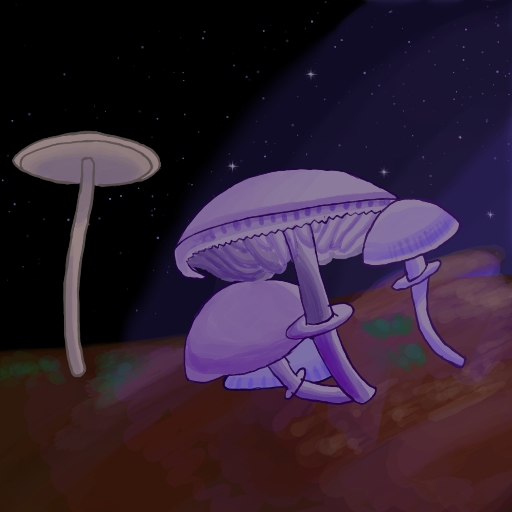 Image description: A cluster of purple mushrooms in the foreground on the right side of the picture. To the left stands a single beige mushroom. They stand against a dark purple background.